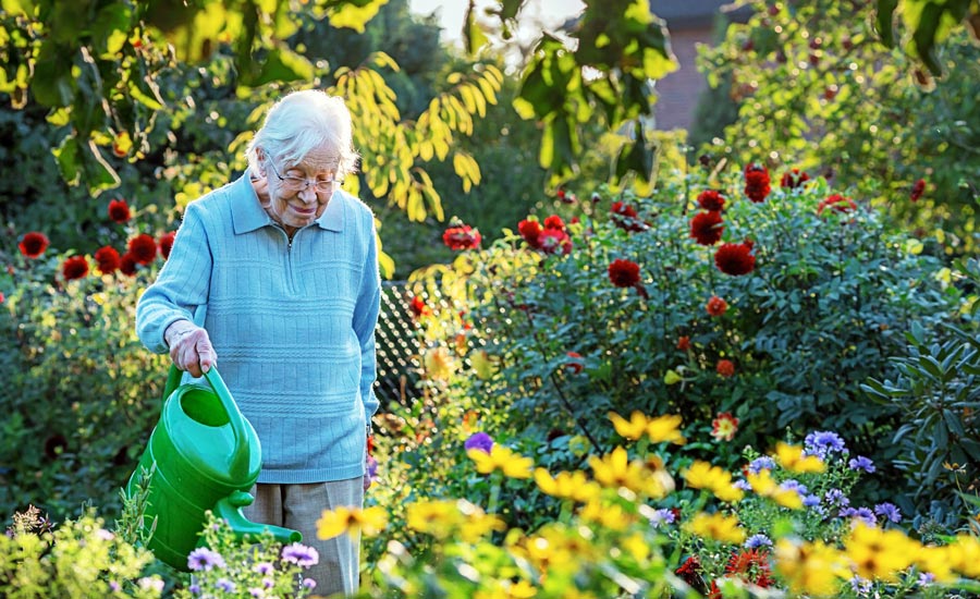 What Does Day-to-Day Dementia Care in a Care Home Actually Involve